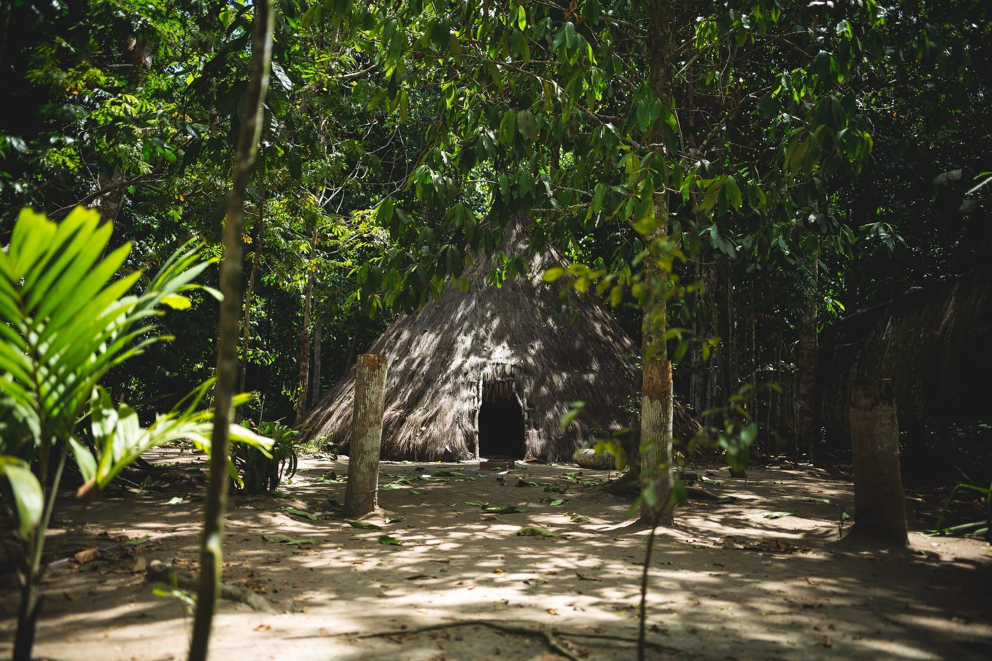 Trilha na mata e construção tradicional de palha na Reserva Pataxó da Jaqueira