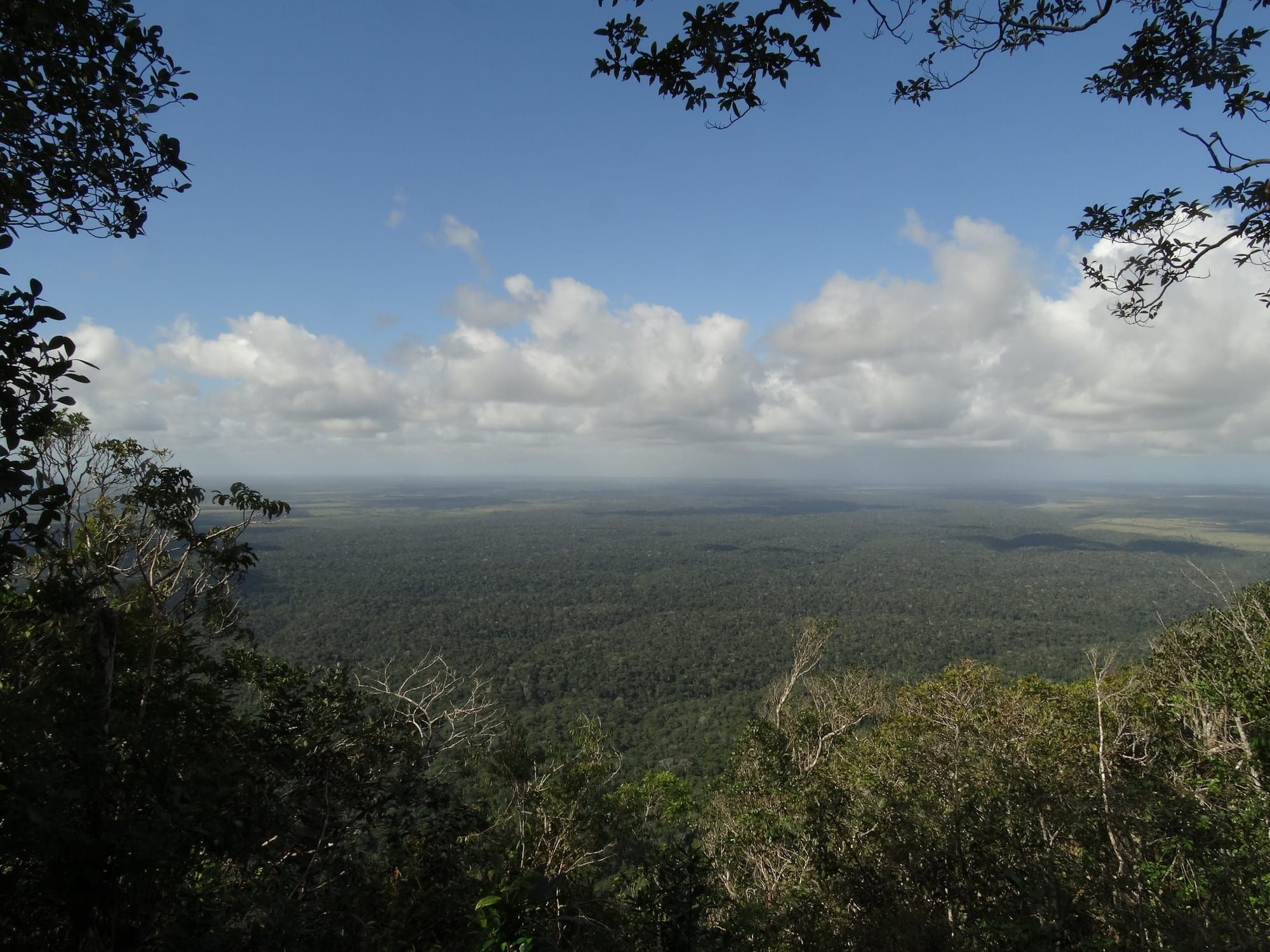Vista da Mata Atlântica do Parque Nacional e Histórico do Monte Pascoal até o horizonte