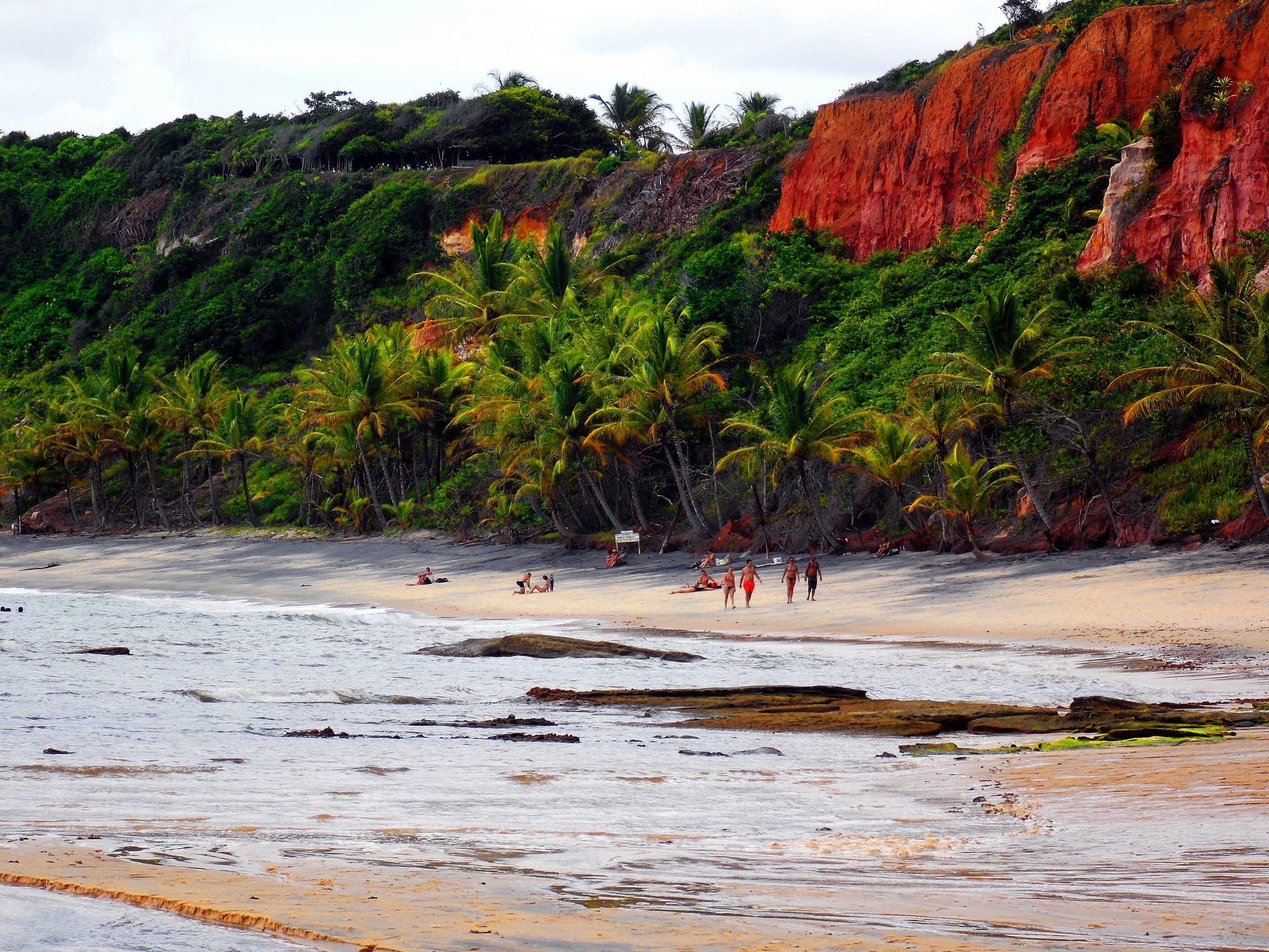 Falésias vermelhas com coqueiros e mata na Praia de Pitinga, em Arraial d'Ajuda